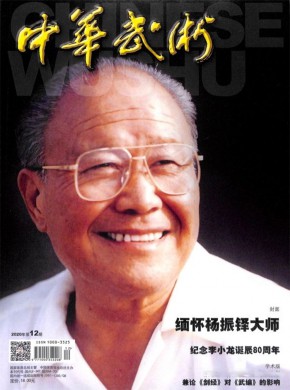 中华武术杂志